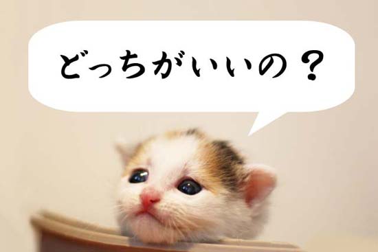 どっちがいい?